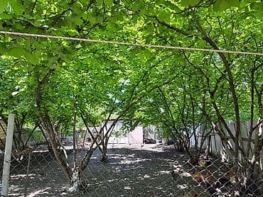 Dağ mənzərəli həyət evi və geniş bağ sahəsi - Yer: sakit məhəllə — 3