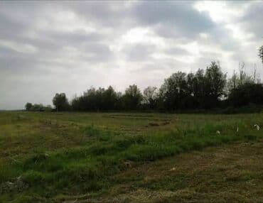 findiq lepesi qiymeti: Bismiləh, Bakı Qazax magestral yolun üstündeYevlax rayonuna yaxın — 2