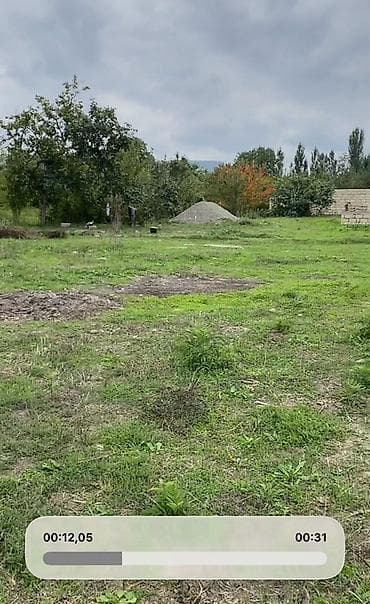 13 sot, Tikinti, Kupça (Çıxarış)