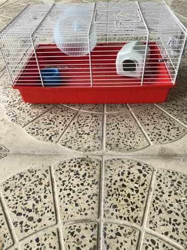 quw qefesi: Merdekan, • Xomyak Qefesi, • Içinde balaca evi yemek qabi ve çarxi — 3