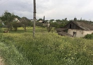 xetai ev: 14 sot, Tikinti, Mülkiyyətçi, Kupça (Çıxarış) — 1