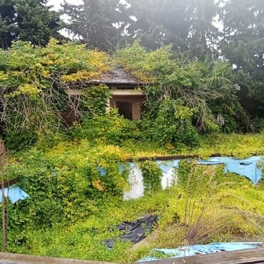 что такое şahdağ i̇stirahət evi nabran: 8 комнат, 1000 м², Средний ремонт — 17