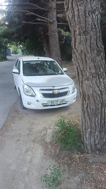 Avtomobil satışı: Chevrolet — 3