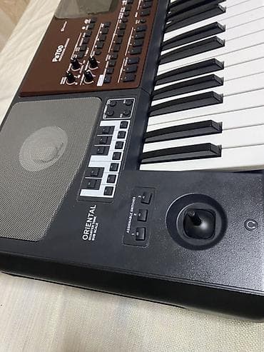 Sintezator, Korg, Yeni — 3