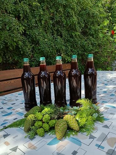 ağac dərmanları: Şam qozası bəhməzi (doşabı)! Təbbi, qatqısız, tam təmiz, Ev şəraitdə — 4