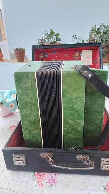 Акустический Аккордеон, Б/у — 3