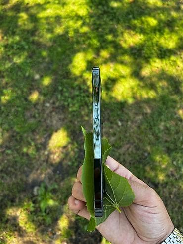 iphone original adapter: IPhone 13 Pro Max, 256 GB, Alpine Green — 4
