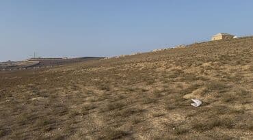 nzsde kiraye evler 2020: 30 sot, Kənd təsərrüfatı, Maklerlər narahat etməsin, Kupça (Çıxarış) — 2