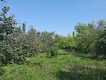 zabratda kreditle satilan heyet evleri 2022: 4 otaqlı, 130 kv. m, Kredit yoxdur, Orta təmir — 3