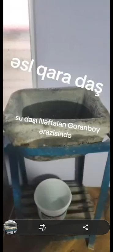 su çenler: Əsl “qara daş” – su daşı (Naftalan–Goranboy ərazisi) - Təbii qara — 1