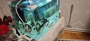 akvarium isiqlari: Akvaryum komplekti - Şüşə akvaryum: düzbucaqlı forma, qalın şüşə — 3