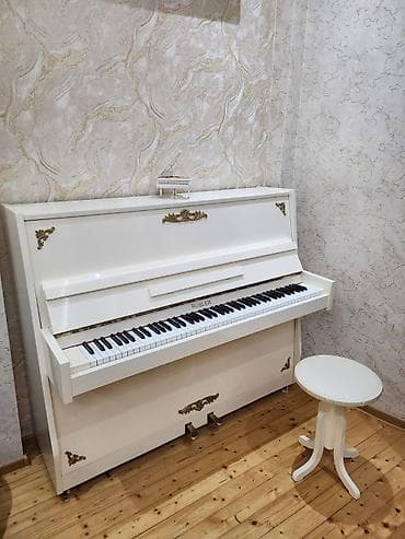 Qiymət 900azn. Rosler Piyano masin boyası, az səliqəli isdifade lalafo.az -da Qiymət 900azn. Rosler Piyano masin boyası, az səliqəli isdifade