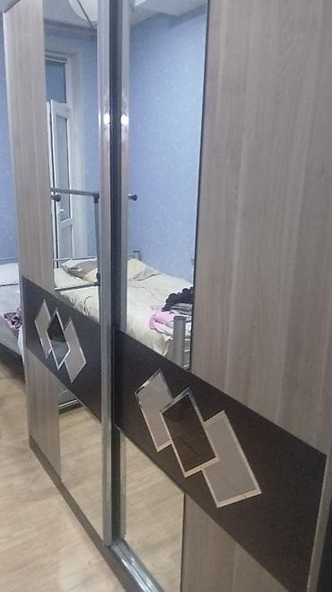 2 двери, С зеркалом, Другой цвет, Дерево, Купе, Прямой шкаф — 2