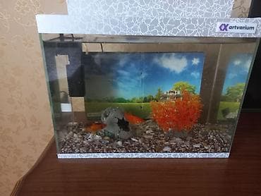 Птицы: Akvaryum dəsti – Artvarium - Şüşə akvaryum, üst və alt dekorativ — 3