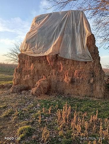 Super Ot qarisiq Arpa saman satilir