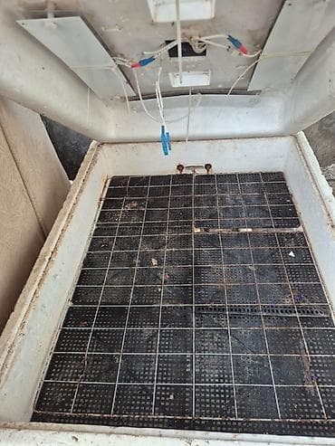 quş yuvası: Bütün növ quşlaq üçün — 1