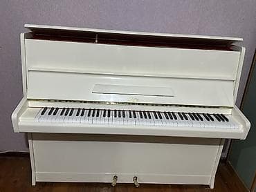 Piano, Petrof, Akustik, Yeni, Pulsuz çatdırılma — 6