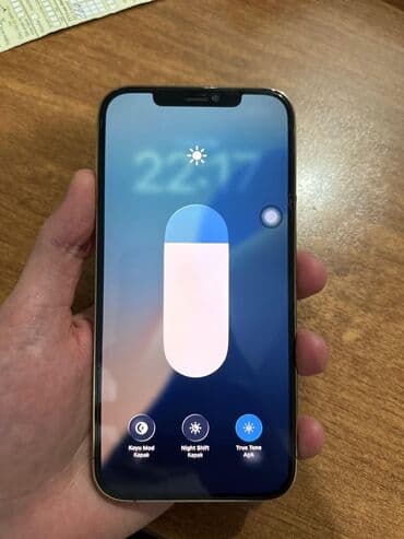 iphone x barter var: IPhone 12 Pro Max, Gümüşü, Face ID — 2