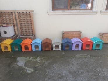 pişik üçün evlər: Домики — 2