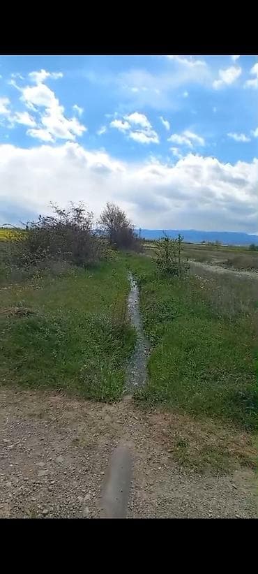 Torpaq: 1 sot, Kənd təsərrüfatı, Makler, Kupça (Çıxarış) — 1