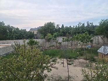 nar bagi: 3 sot, Tikinti, Mülkiyyətçi, Texniki pasport, Kupça (Çıxarış) — 3