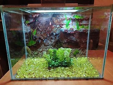 akvarum baliqlari: Dördbucaq akvarium, 40 l, Pulsuz çatdırılma — 1