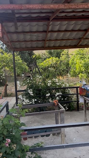 bide: Heyet ve bag ucun keyfiyetli matreallardab gazirlanmiw hazir — 2