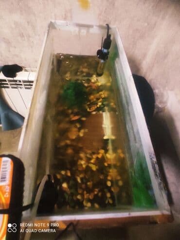 ucuz it yemleri: Dördbucaq akvarium, Balıqlarla birlikdə, 75 l — 1