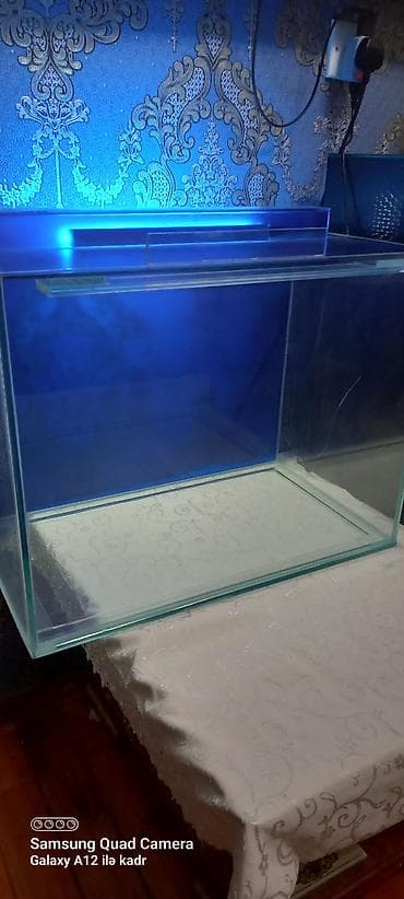akvarium yumru: Salam istənilən ölçüdə akvarium ən azı 30 litrdən yuxarı münasib — 5