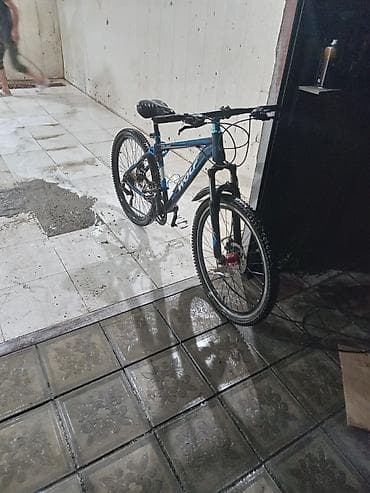 Wolf dağ velosipedi Yaxwi vezyetdedir 2 ildi surulmur riyal aliciya — 3