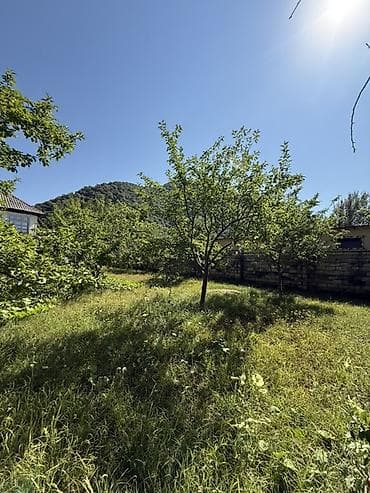 qubada torpaq satilir 2026: 3 sot, Tikinti — 2