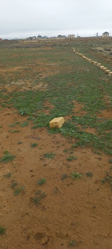 недвижимость в баку из рук в руки: 8 соток, Для строительства, Собственник, Бялядия (муниципалитет) — 5