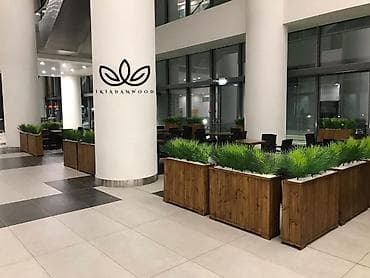 Taxta dekorativ gül qabları və bölücü planterlər - Məhsul: İkiqat