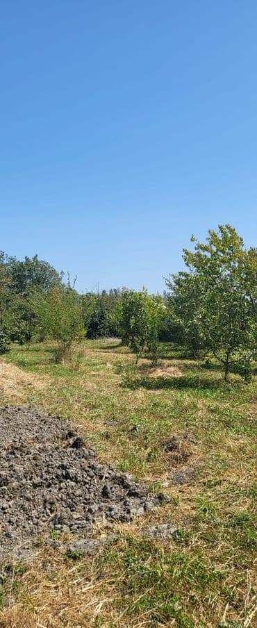 купить дом в кубе: Xaçmaz, 20 kv. m, 4 otaqlı, Hovuzsuz, İşıq — 3