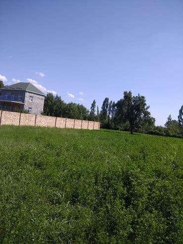 torpağ sahəsi: 20 sot, Tikinti, Mülkiyyətçi, Kupça (Çıxarış) — 6