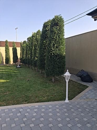 heyet qapisi: Canlı rulon qazon və landşaft abadlaşdırma xidməti - Rulon qazon — 9