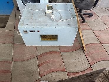 inkubator cucesi: 100 yumurta, Azərbaycan, Tam avtomat, Bütün növ quşlaq üçün — 7