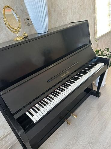 Piano, Belarus, Akustik