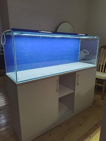 akvarium yumru: Şəffaf və dözümlü şüşədən hazırlanır. Ölçüləri 130uz*35en*45hün — 1