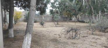 lenkeranda torpaq: 7 sot, Tikinti, Kupça (Çıxarış) — 4