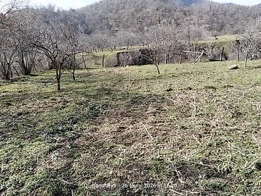 Mənzillər: 10 sot, Tikinti, Makler, Kupça (Çıxarış) — 4