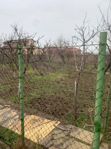 heyət evi: 8 otaq, 500 kv. m, Yeni təmirli — 12