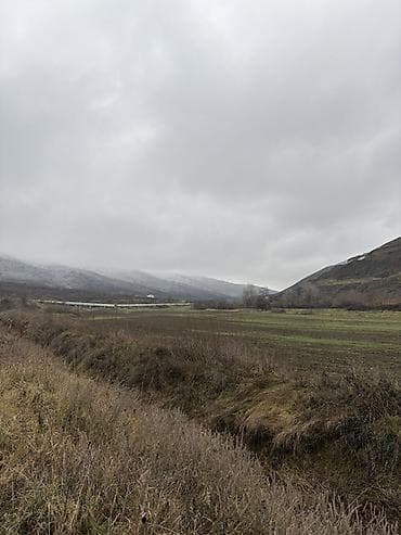 tarqovuda satilan evler: Kənd təsərrüfatı — 2