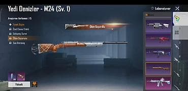 PUBG Mobile hesabı – zəngin kolleksiya və nadir kontent - Silah — 5