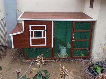 quş yuvası: Tuyuq yuvası Hin sifarişlə hazırlanması istənilən ölçüdə tam — 1