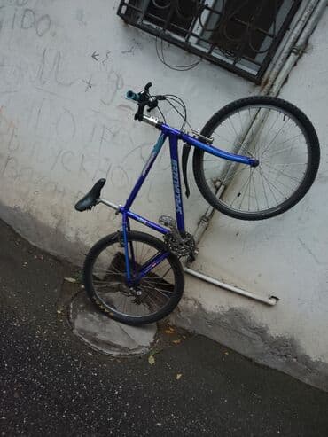 berkut velosiped: Dağ velosipedi 26" — 1