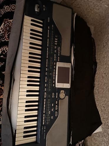 Tata: Sintezator, Korg, Yeni — 1