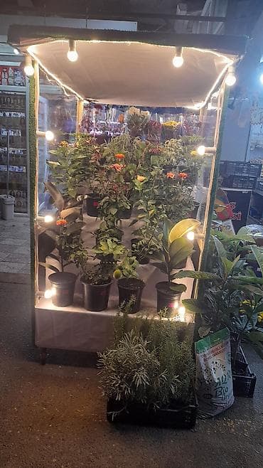 LED işıqlı vitrin/stand - 3 pilləli nümayiş rəfi: çiçək və bitkilər — 3