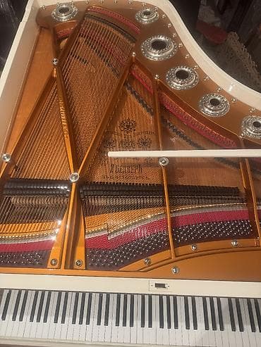 CD, DVD disklər və kassetlər: Royal — 9