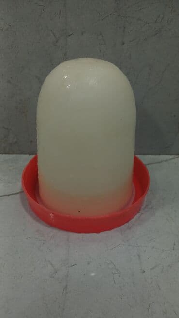 BYD: 20 ədəd. Təsvir: - Qırmızı altlıqlı, ağ rəngli plastik toyuq/quş — 1